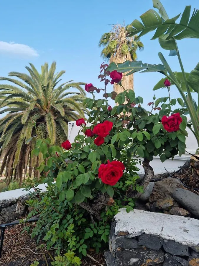 エル・パソ Rural Jardines La Quintaヴィラ 別荘