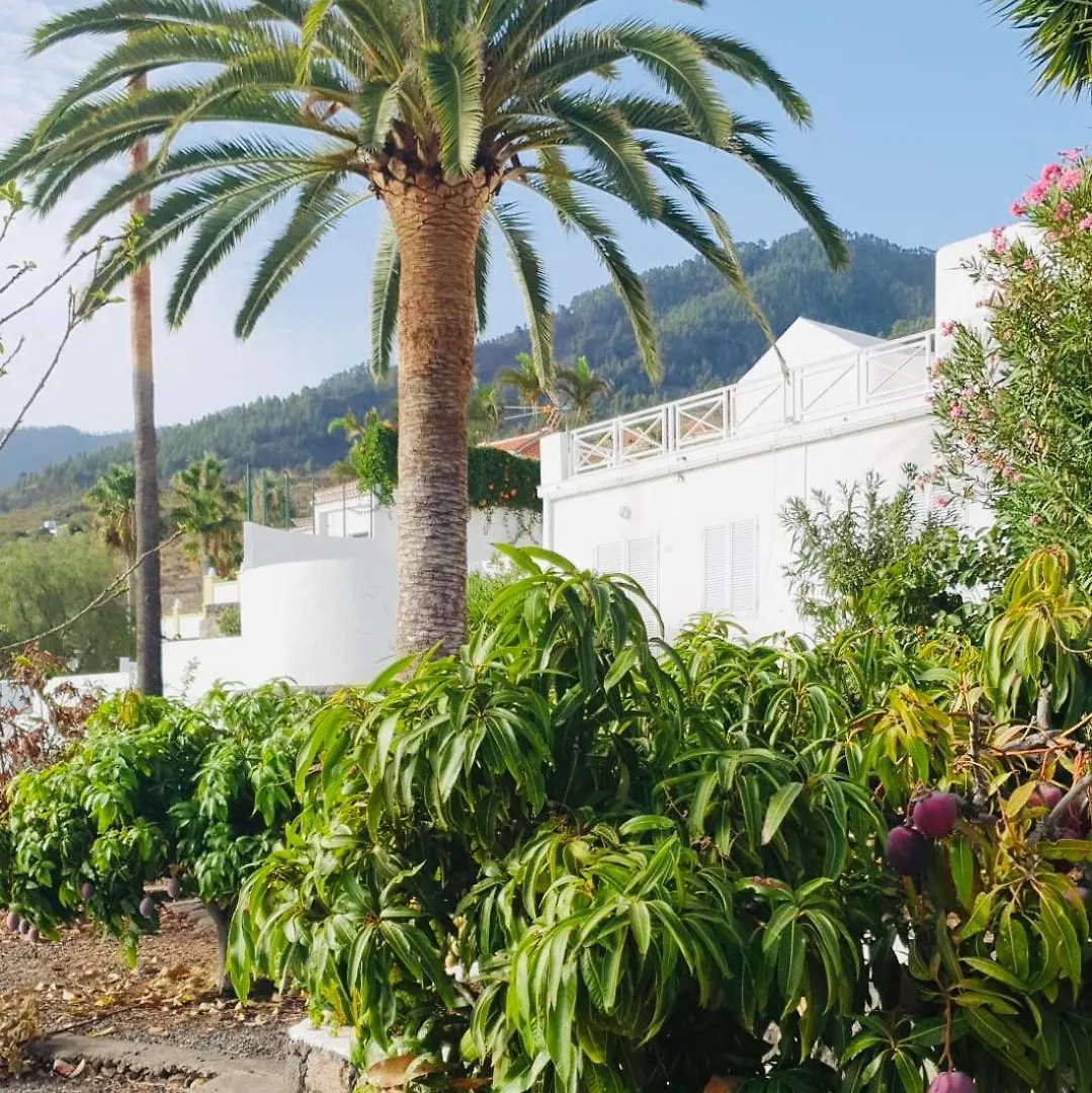 別荘 エル・パソ Rural Jardines La Quintaヴィラ スペイン